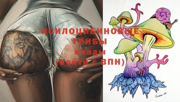 PSILOCYBIN Балахна