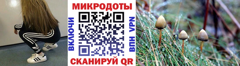 Псилоцибиновые грибы прущие грибы Строитель